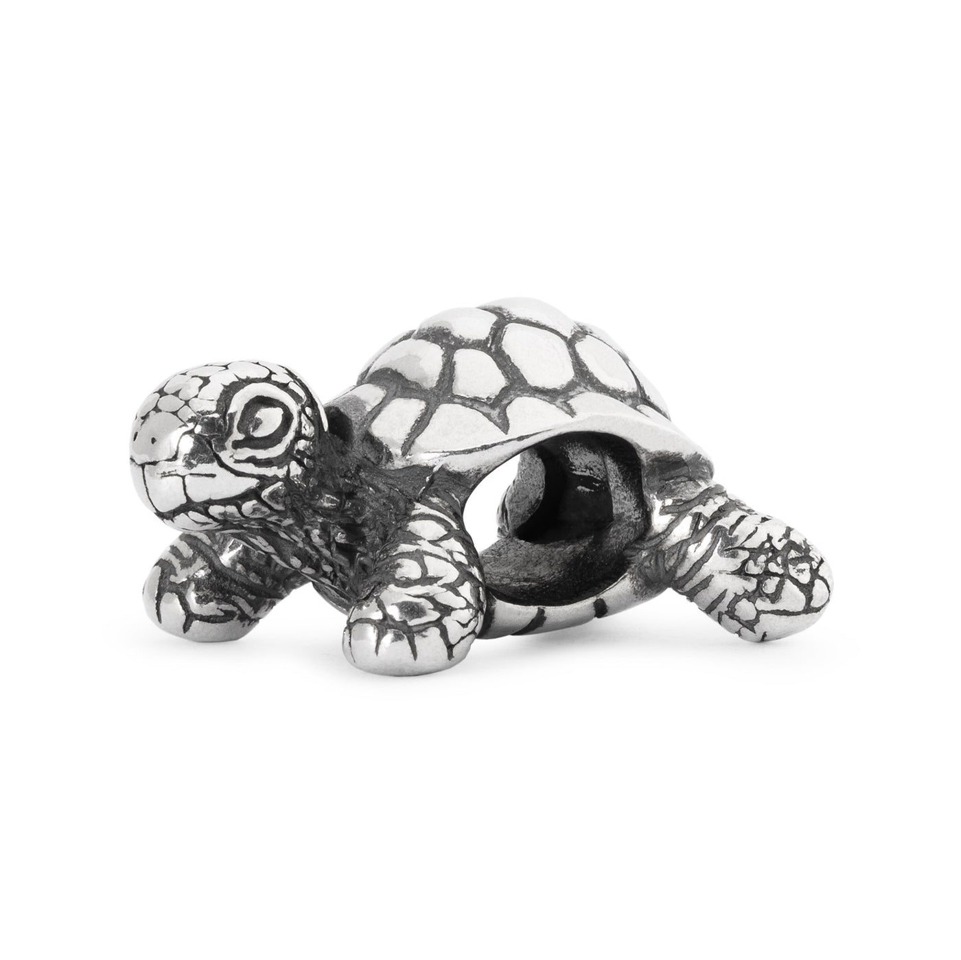 Perle de tortue africaine en argent pour bijoux.